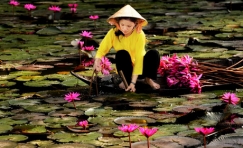 Classic & Cultural Tours